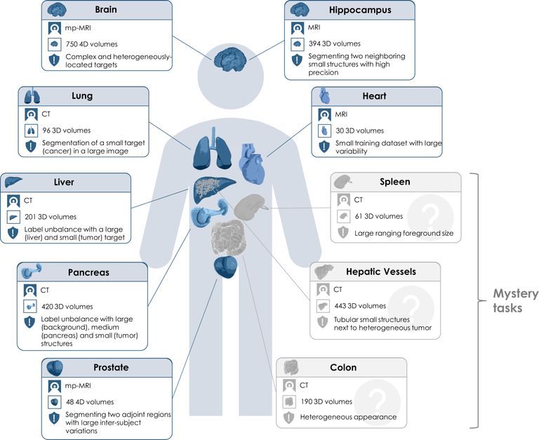 Diagnostic Image Analysis Group