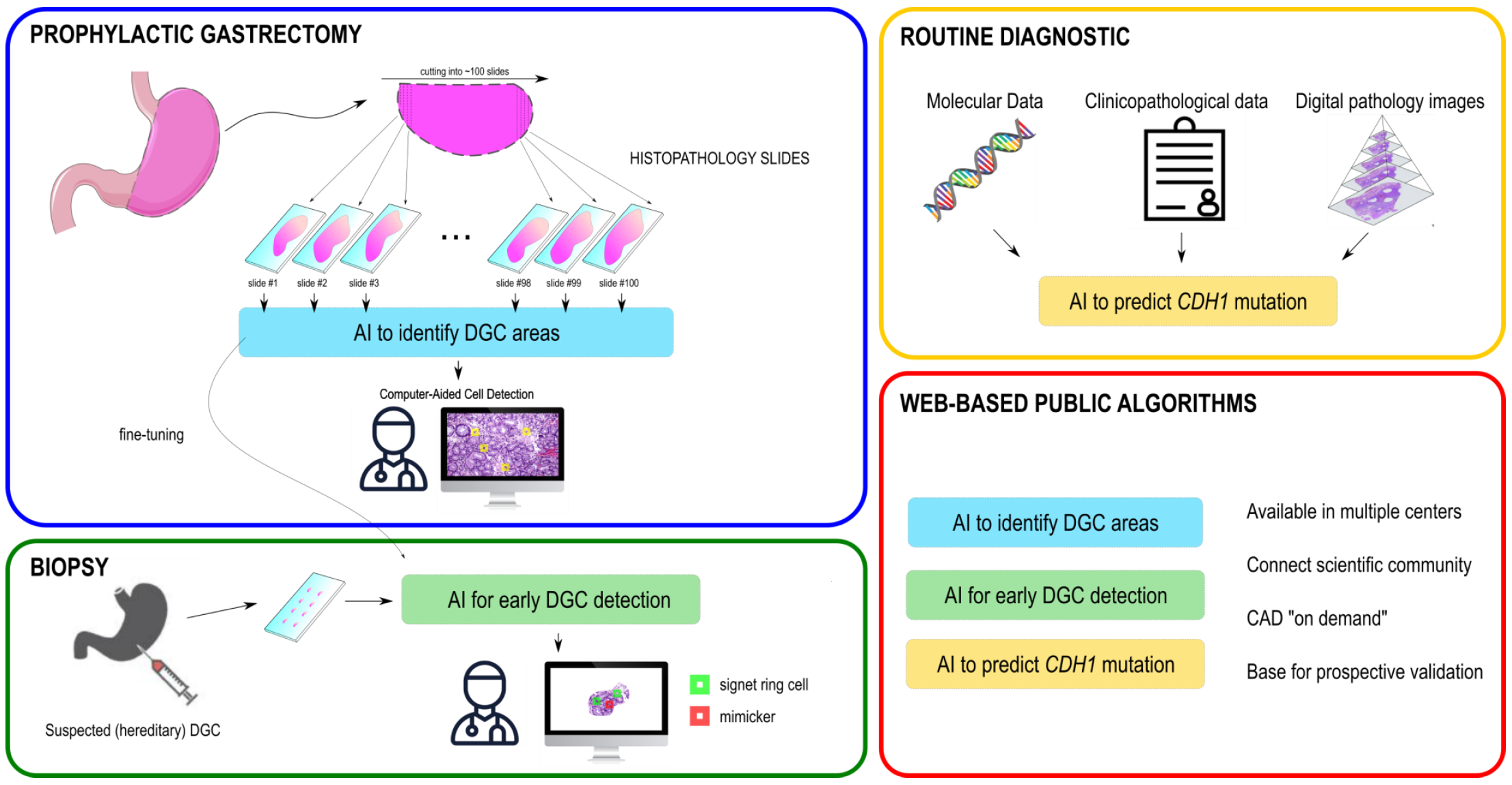 Overview DGC project