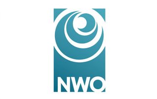 NWO awards 10-year consortium grant to IMAGINE project of Peter Koopmans