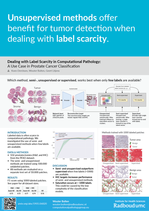 Dealing with Label Scarcity in Computational Pathology: A Use Case in Prostate Cancer Classification