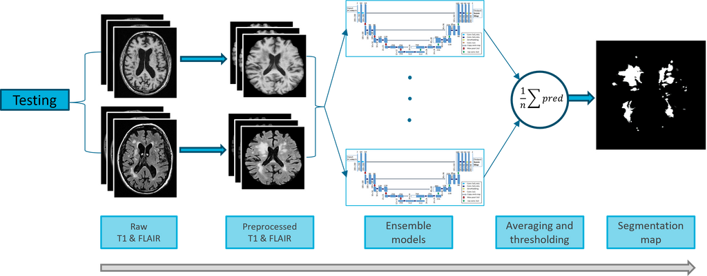 wmh-progression-detection