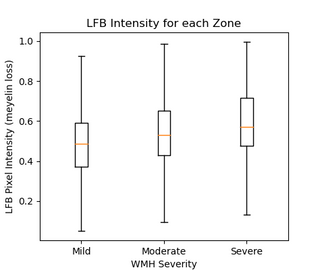 wmh-progression-detection