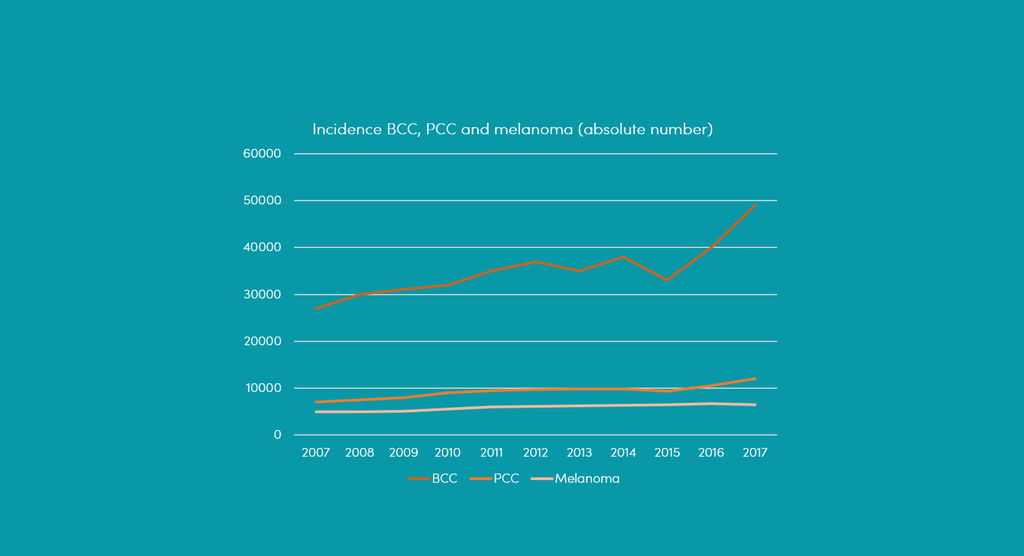 Trend of three main groups of skin cancer