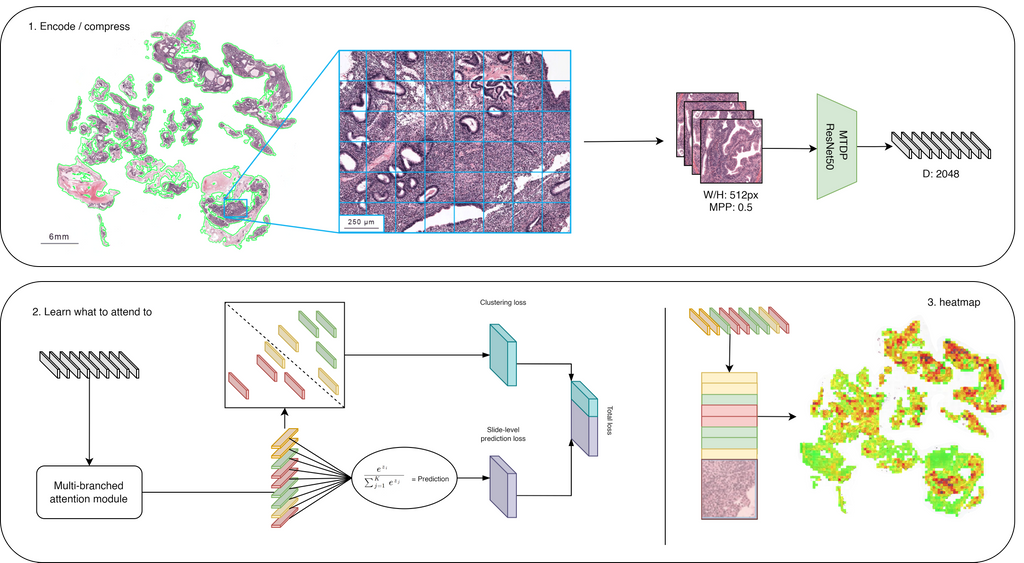 endoaid_clam_schematic.png