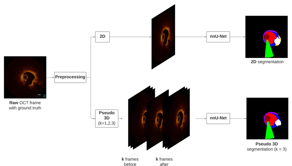 nnunet-framework