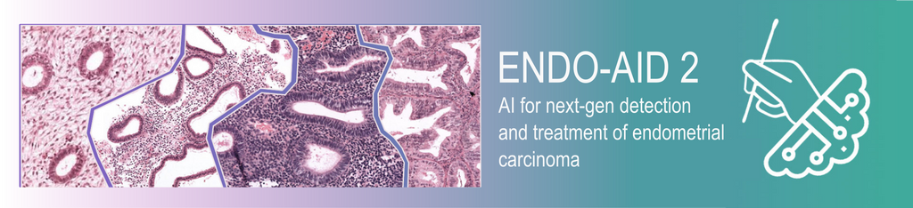 PhD candidate 'Artificial Intelligence to improve detection and treatment of endometrial cancer via computational pathology'