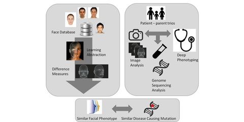 Quantitative facial phenotyping of patients with intellectual disability