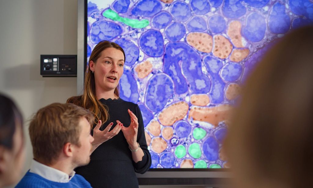 Postdoctoral Researcher in Computational Pathology