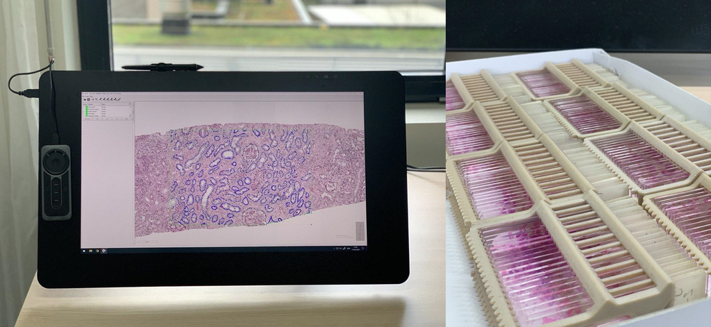 Student assistant Computational Pathology